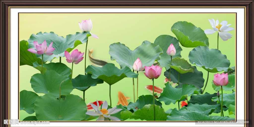 国画荷花