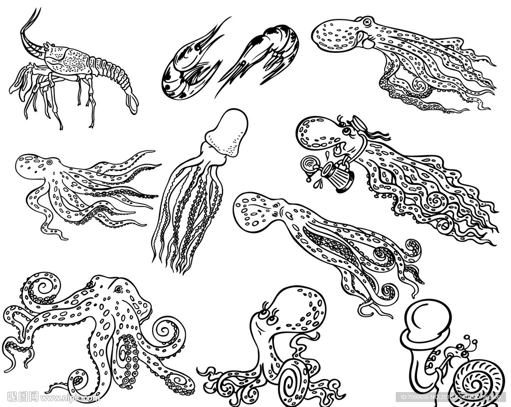 具有手绘海洋生物的无缝图案 黑白 向量例证. 插画 包括有 龙虾, 水下, 向量, 海藻, 海星, 模式 - 148729111