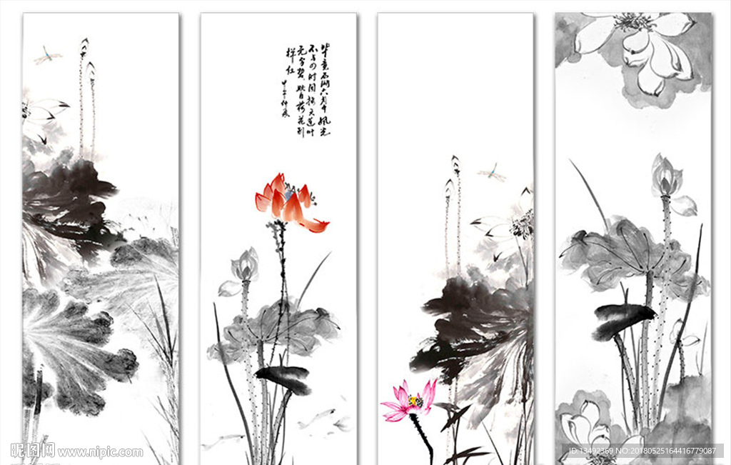 荷花