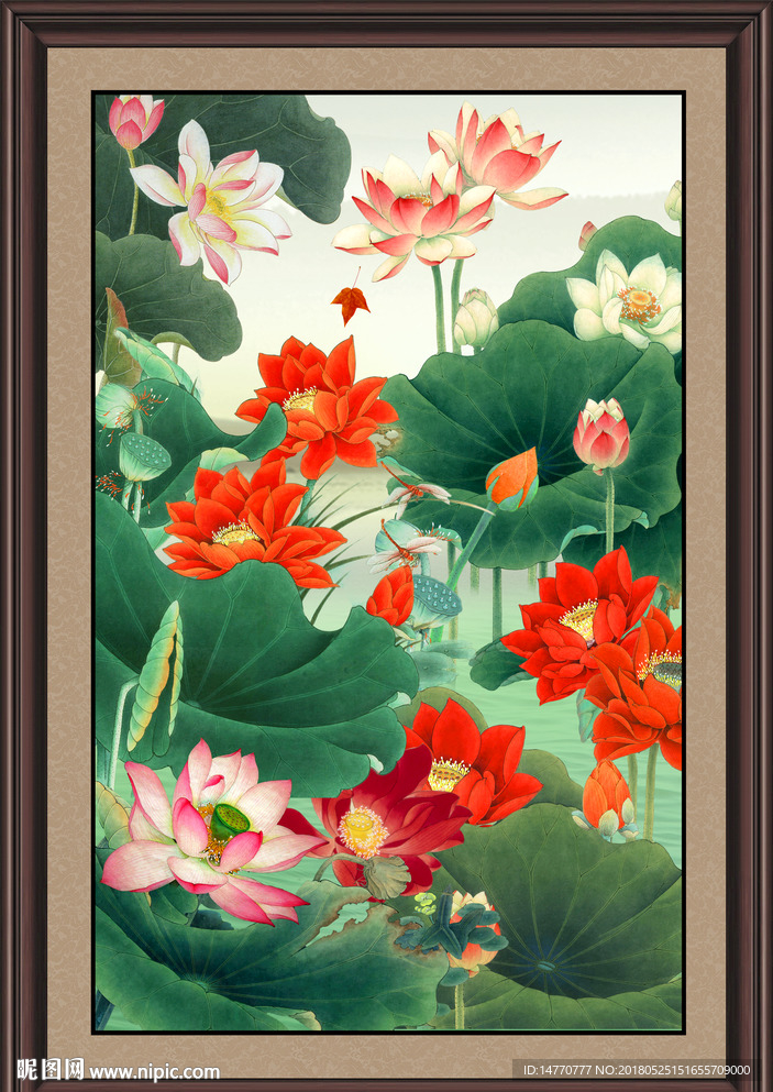 竖幅荷花图
