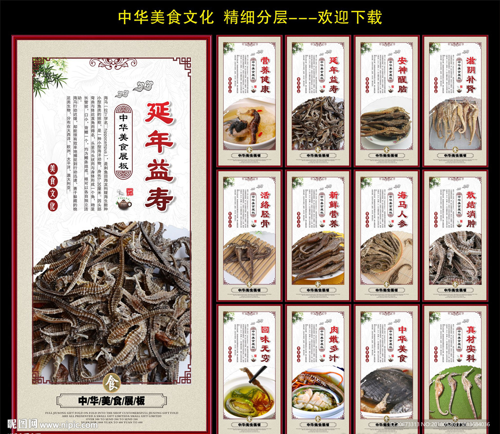 海马