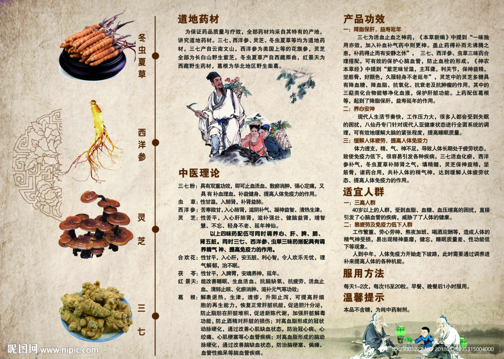 中草药折页