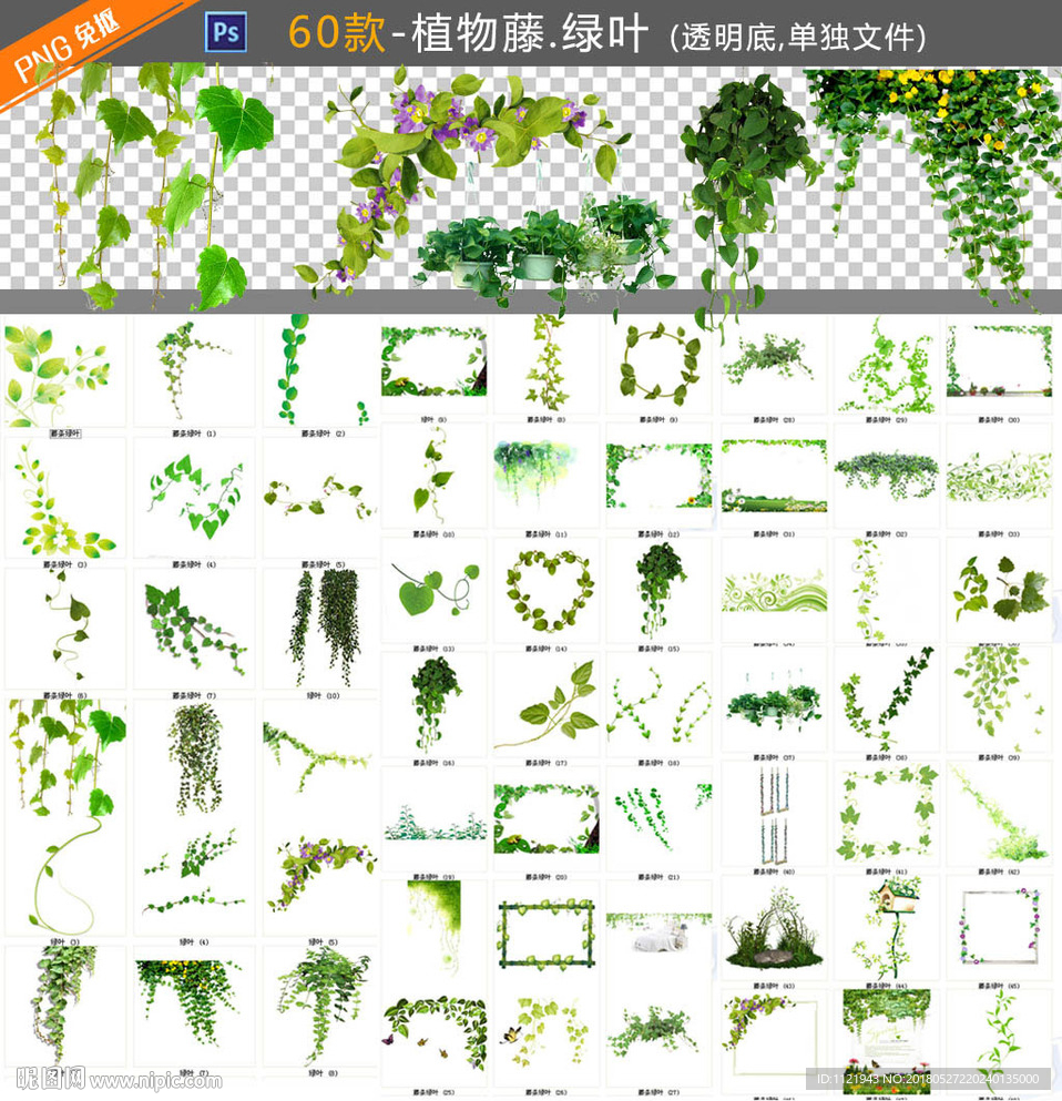 PNG藤条植物绿叶