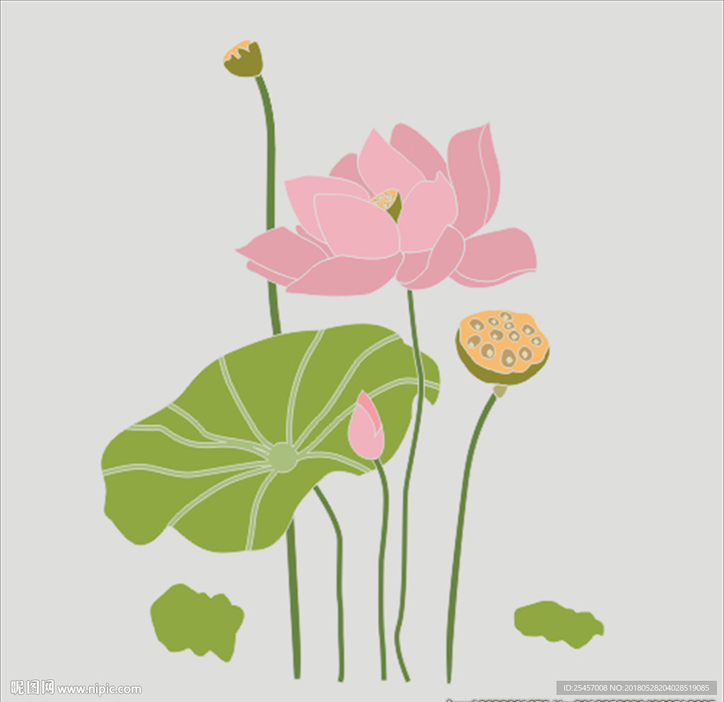 荷花 矢量