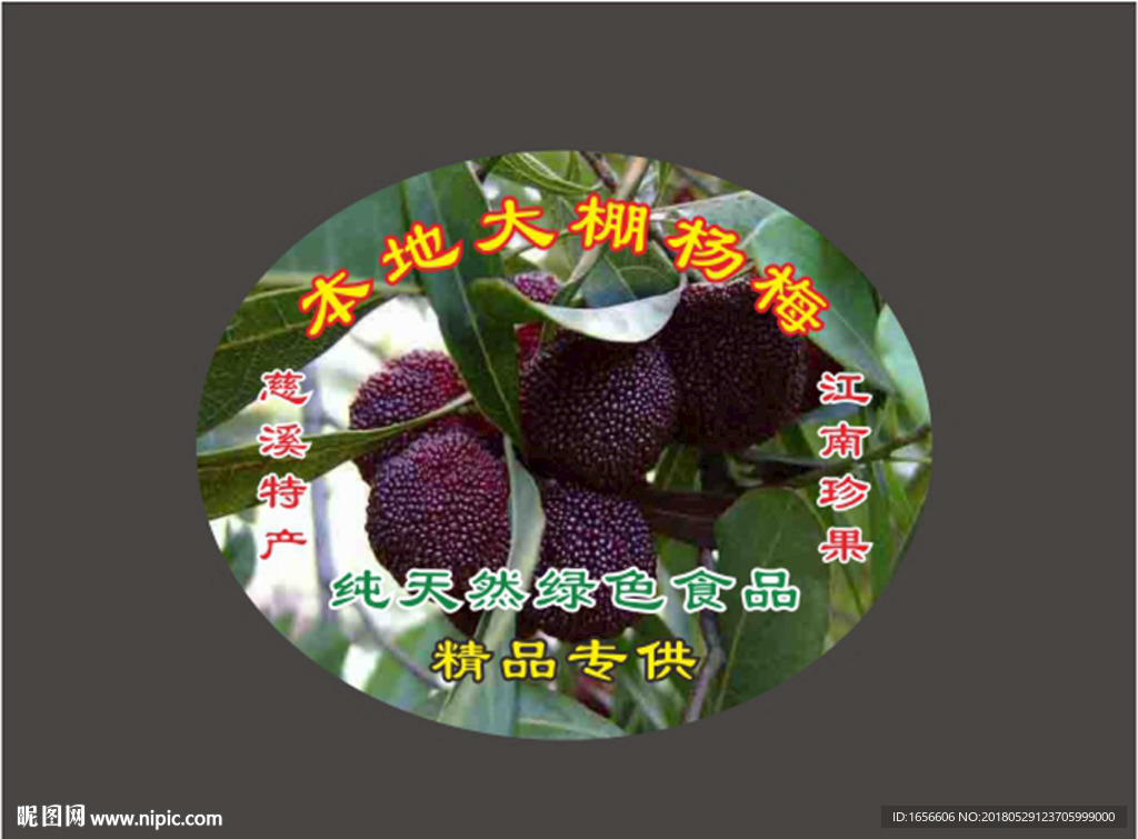 杨梅图片