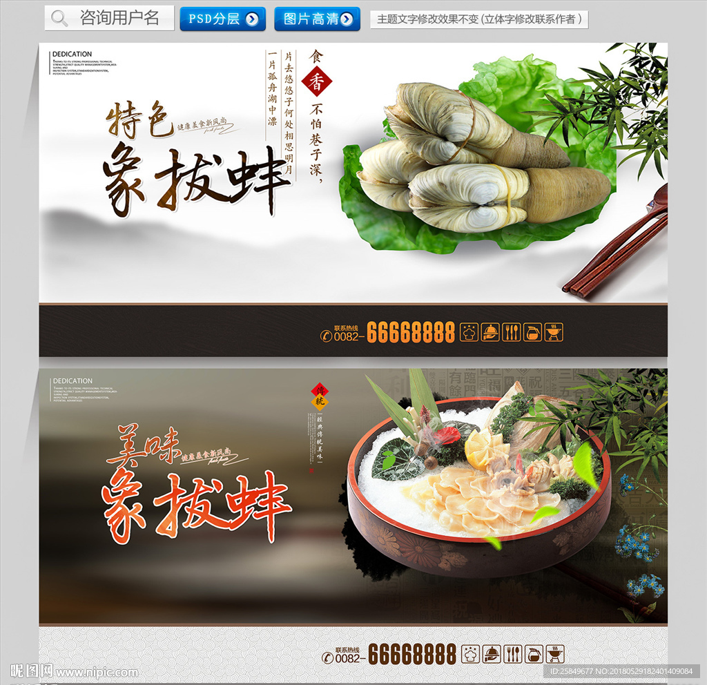 象拔蚌
