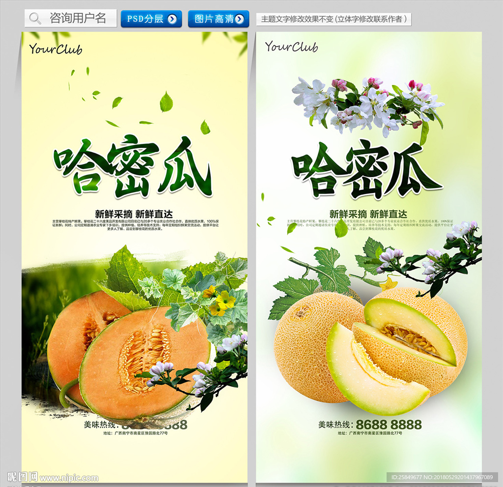 哈密瓜