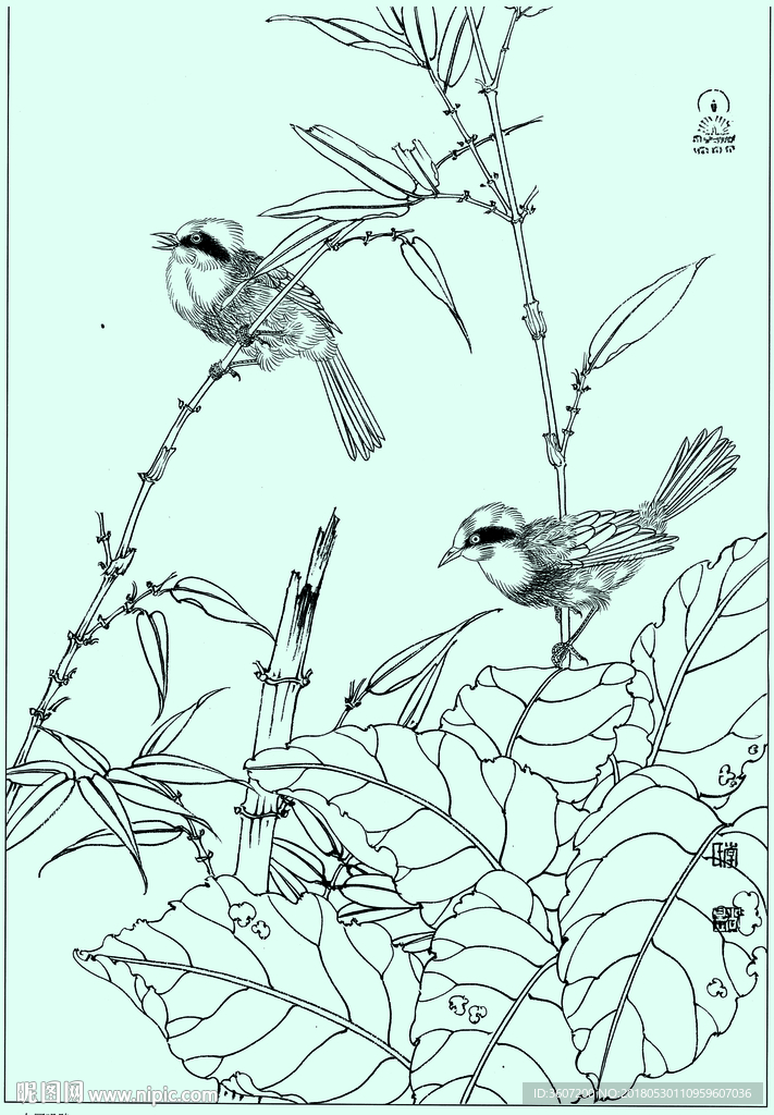 白颊噪鹛线描 白颊噪鹛白描