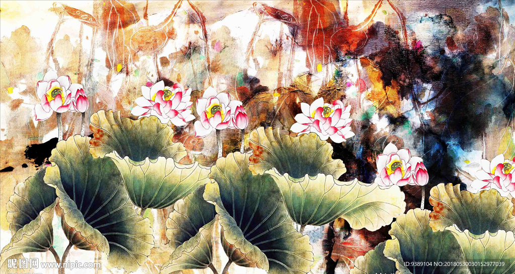 荷花