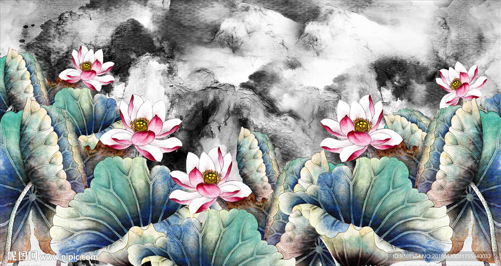 荷花