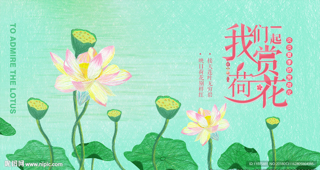 原创线圈插画赏荷花宣传展板