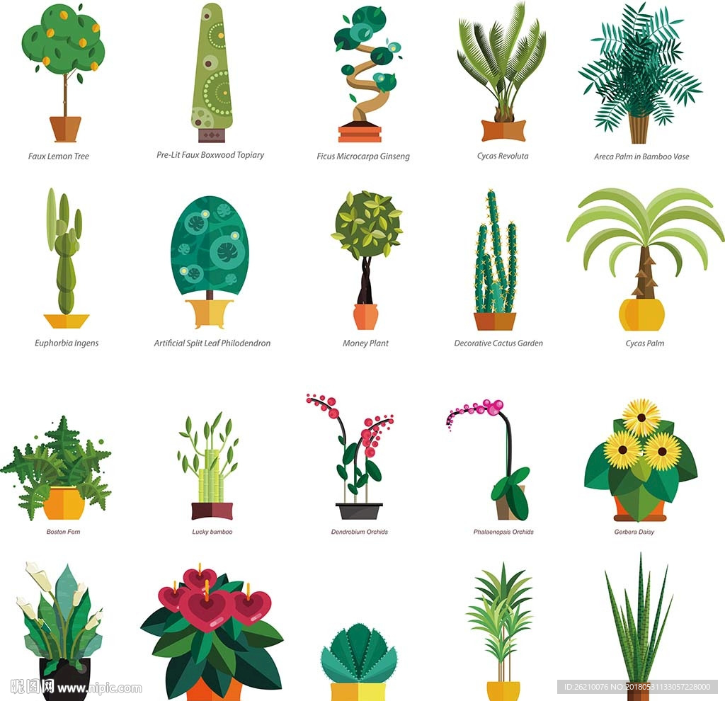 仙人掌植物盆栽矢量素材