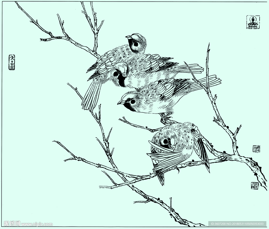 麻雀线描 麻雀白描 麻雀素描