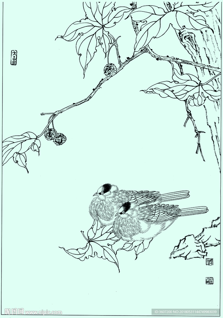 双栖线描 双栖白描 双栖素描