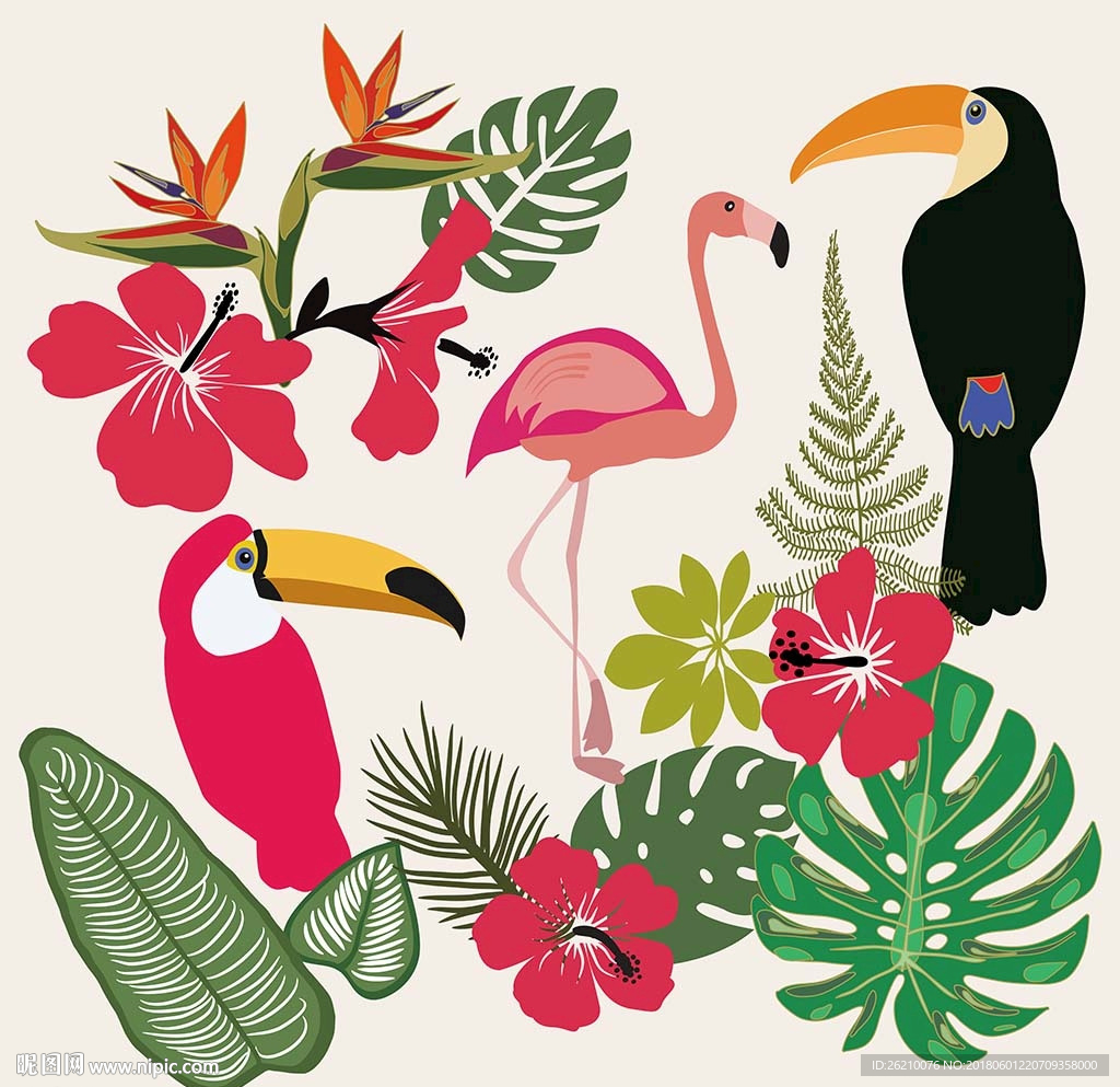 火烈鸟大嘴鸟植物花鸟素材