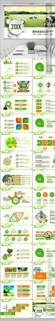 畜牧业养殖业奶牛农业农场牧场