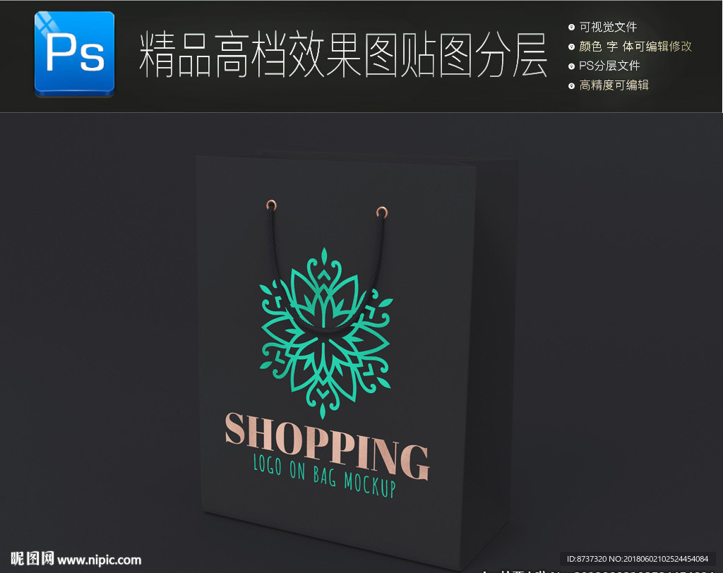 炫酷高端手提袋样机图片