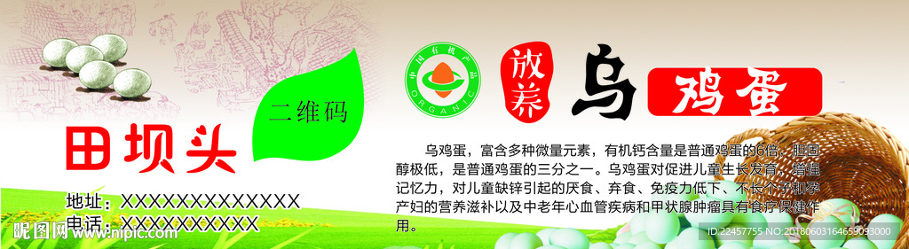 放养乌鸡蛋