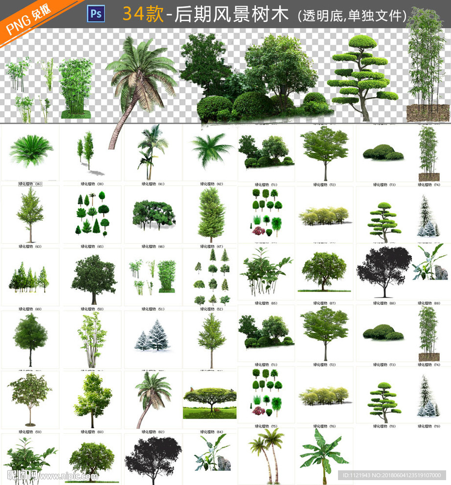 后期绿化树木图片