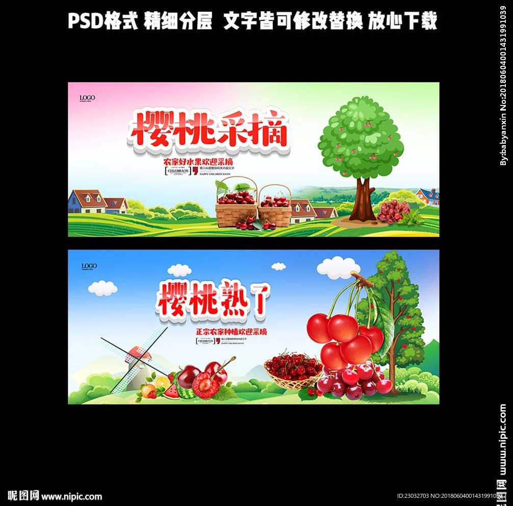 樱桃采摘