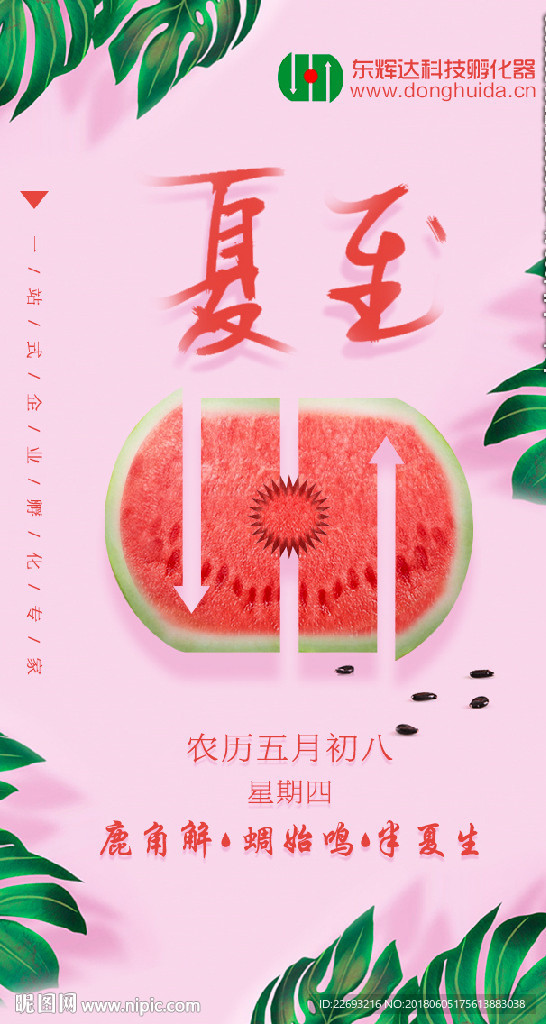 夏至海报