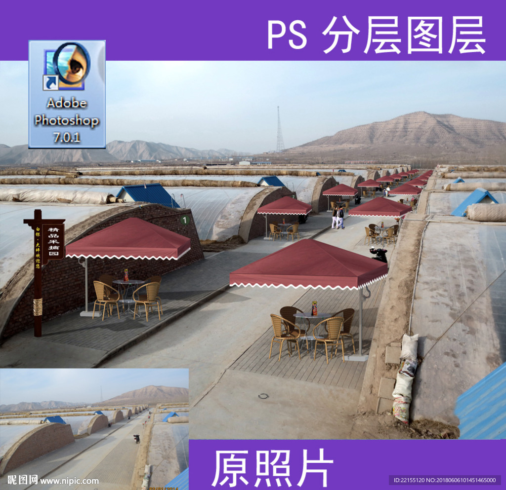 大棚P图