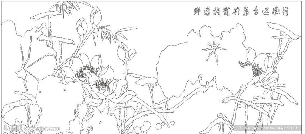 荷花
