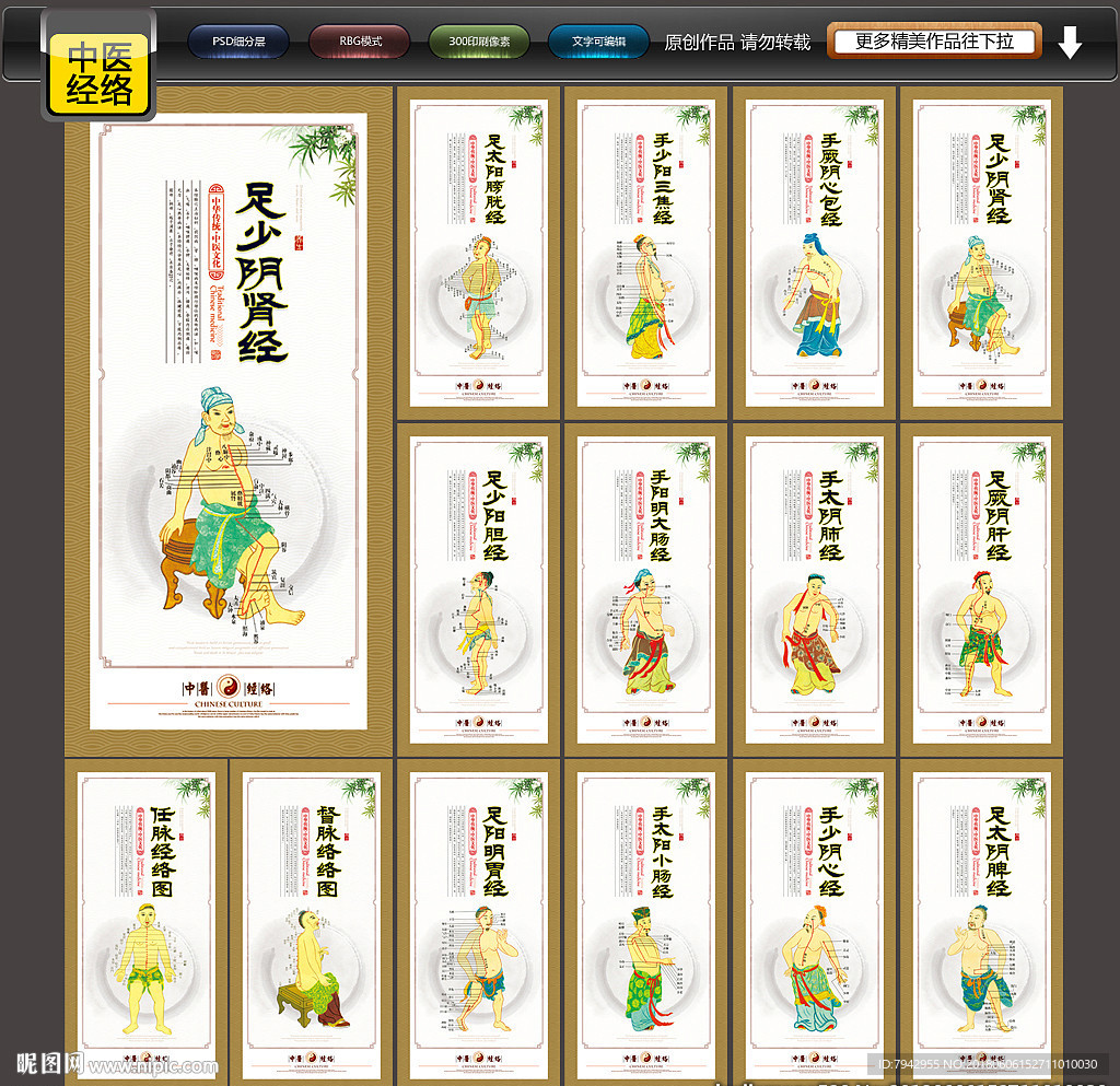 穴位图