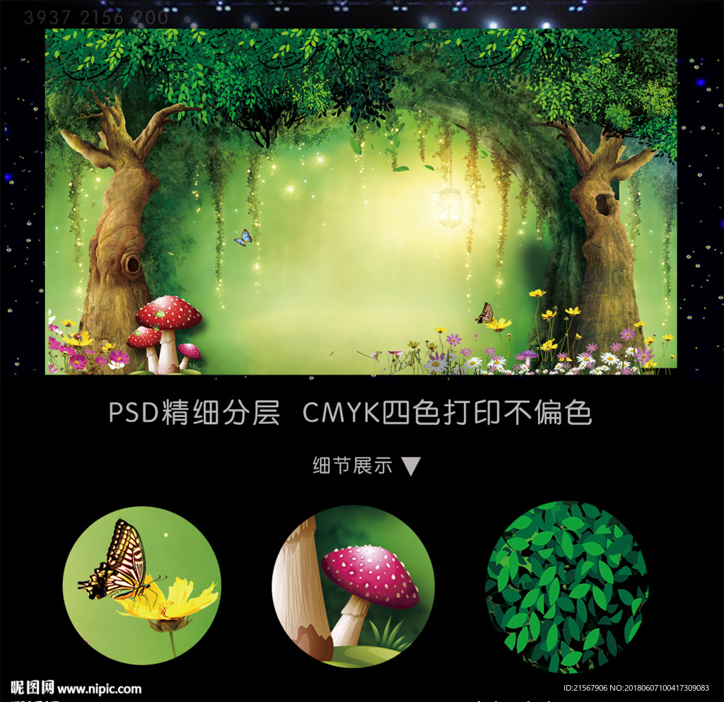 梦幻森林