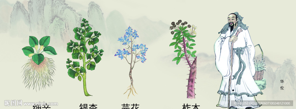 中医文化