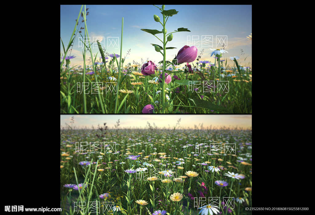 开花动画 花海