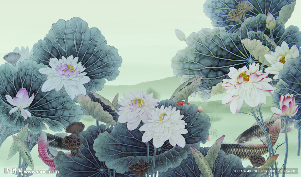 荷花背景