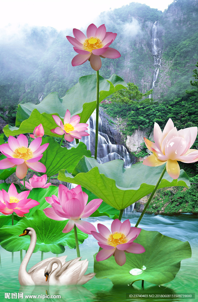 荷花玄关风景
