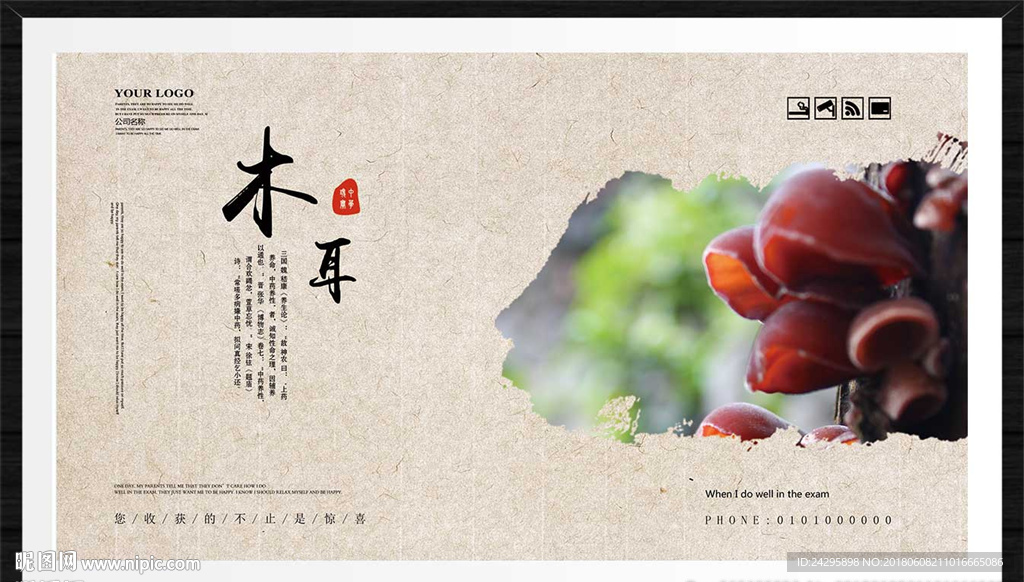 木耳