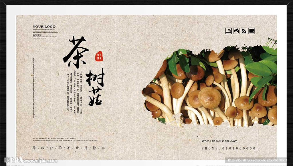 茶树菇