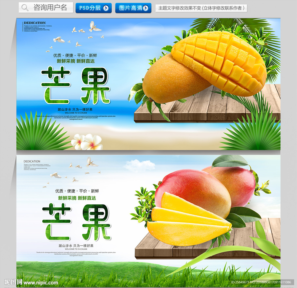 芒果