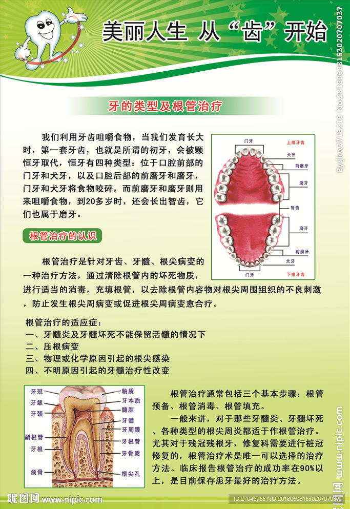 牙齿根管治疗