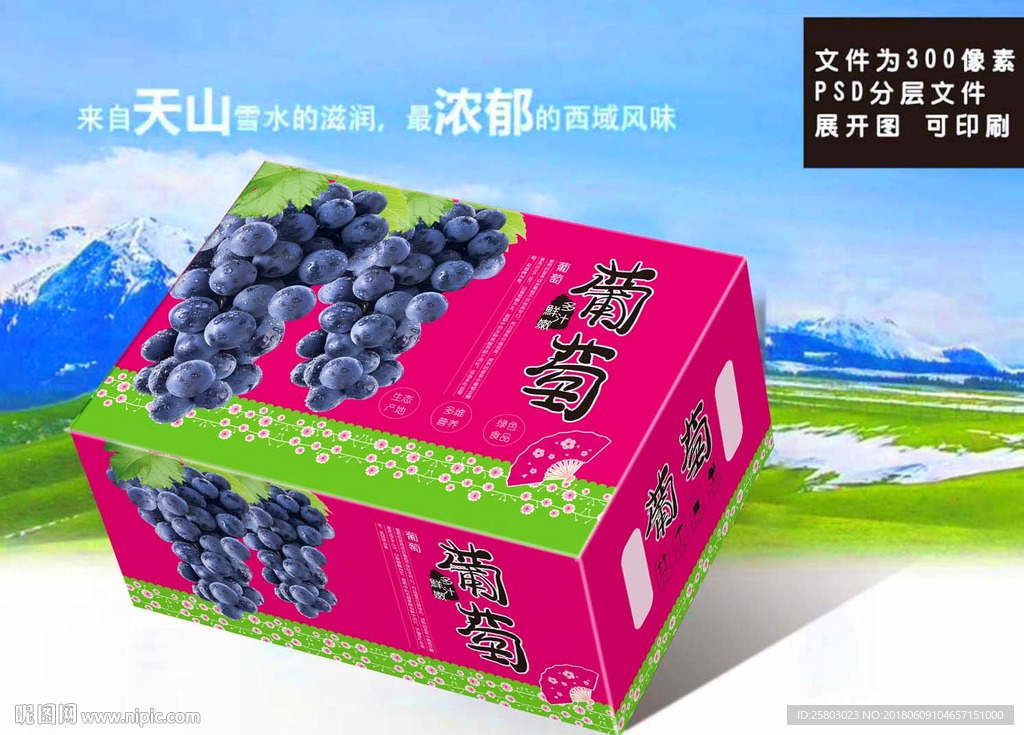 葡萄