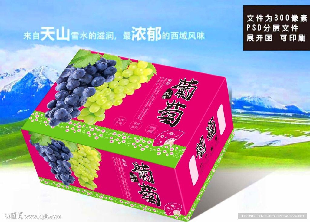 葡萄