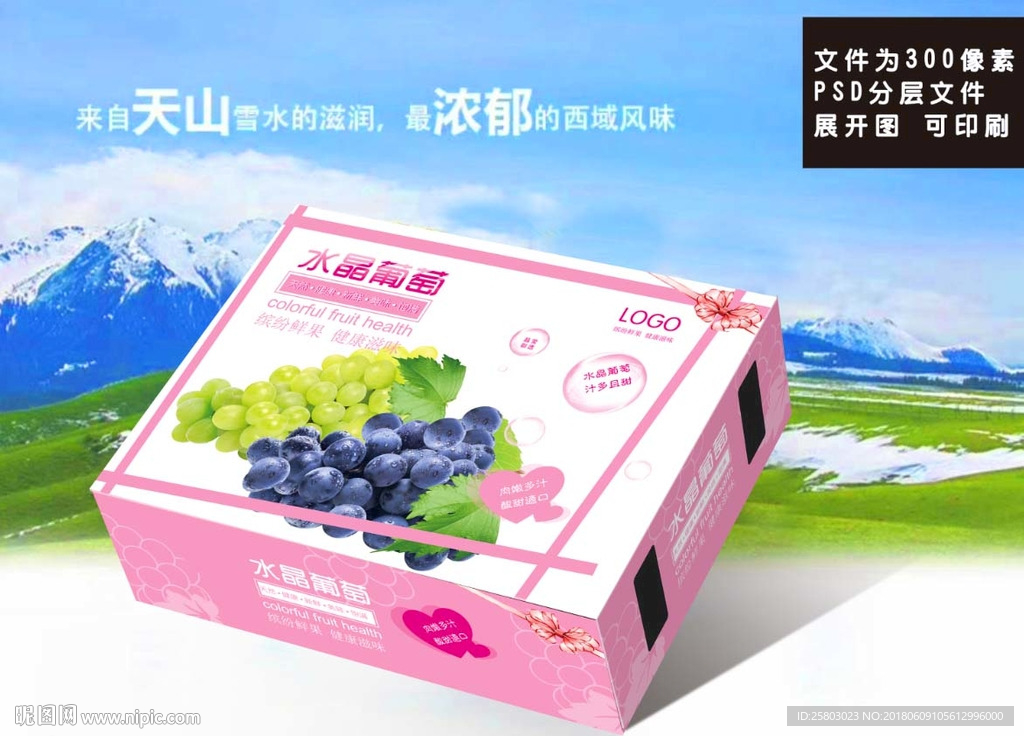 葡萄