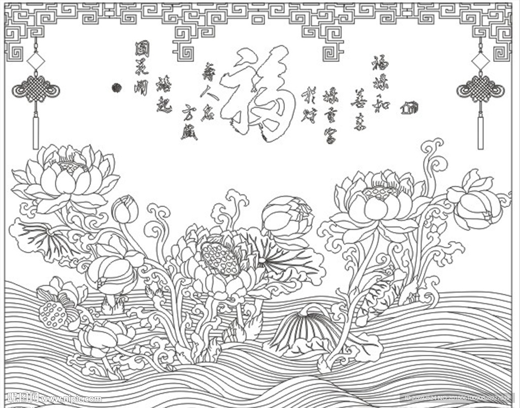 荷花