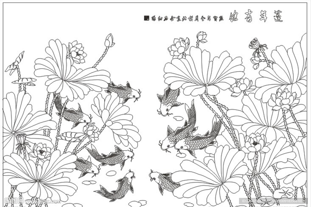 荷花
