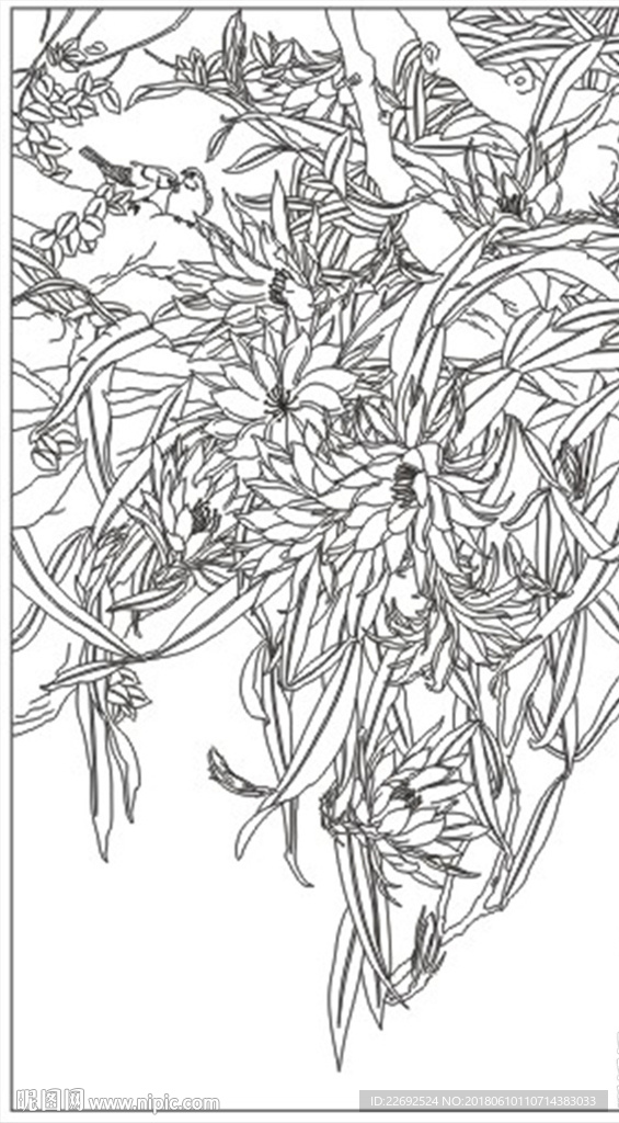 百合花