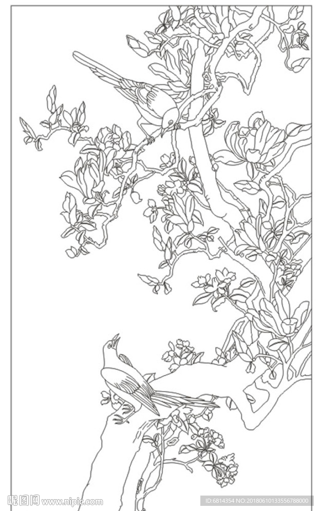 玉兰花鸟