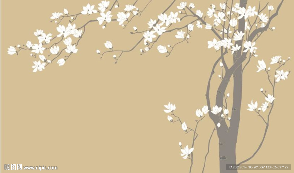玉兰花树