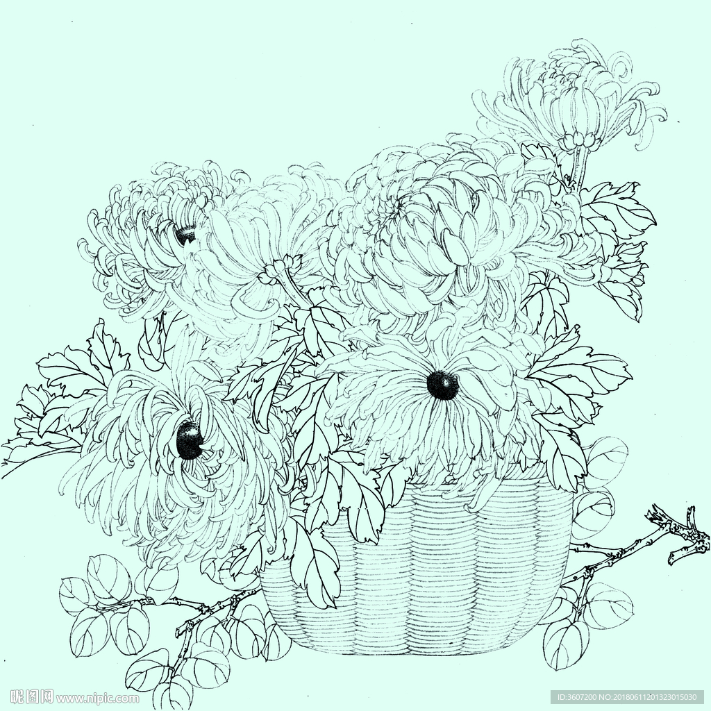 花鸟线描 花鸟白描 花鸟素描