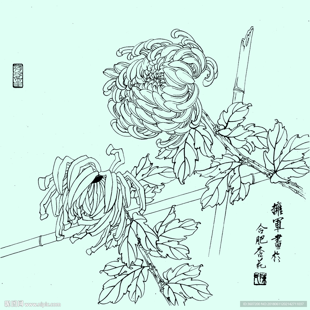 花鸟线描 花鸟白描 花鸟素描
