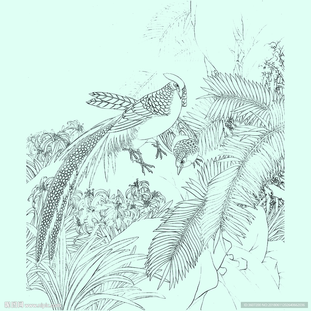 花鸟线描 花鸟白描 花鸟素描