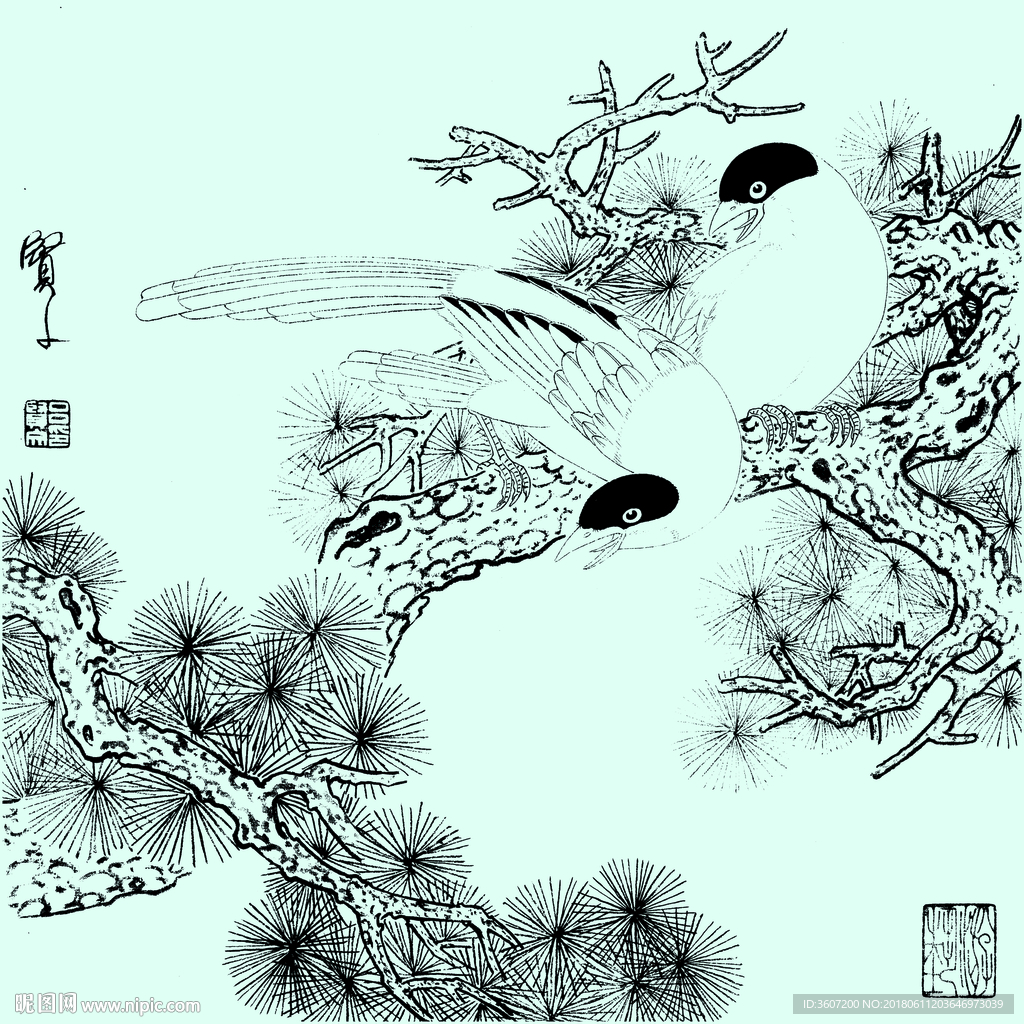 花鸟线描 花鸟白描 花鸟素描