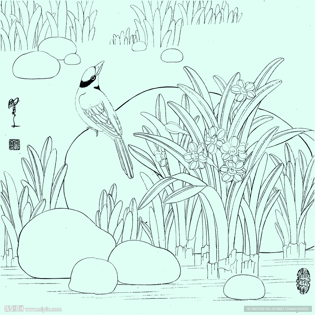 花鸟线描 花鸟白描 花鸟素描